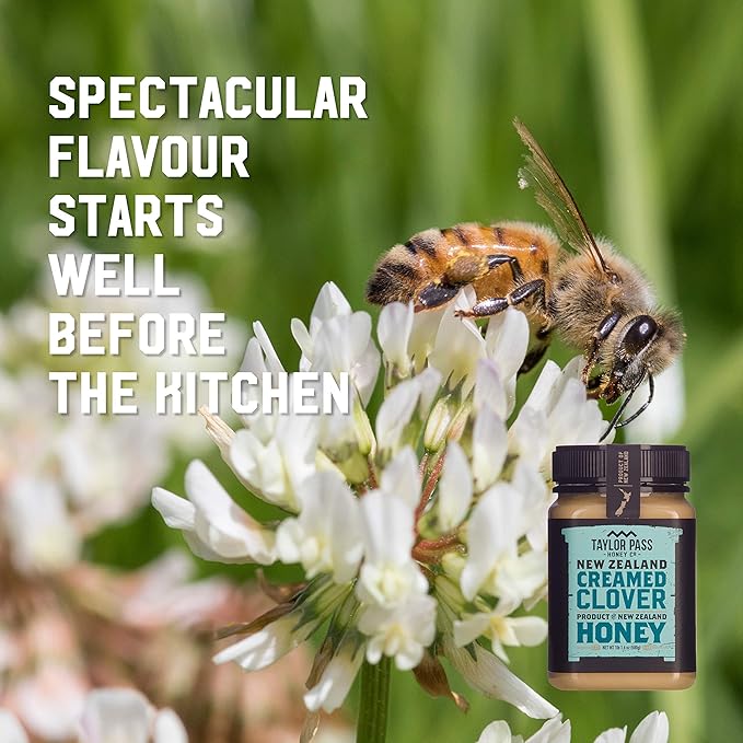Taylor Pass Honey Co Creamed Clover Honey | Raw Creamed New Zealand Honey | Naturally Sweet & Velvety | Non-GMO, Halal, B Corp Certified | BPA-Free Jar | 1 lb 1.6 oz