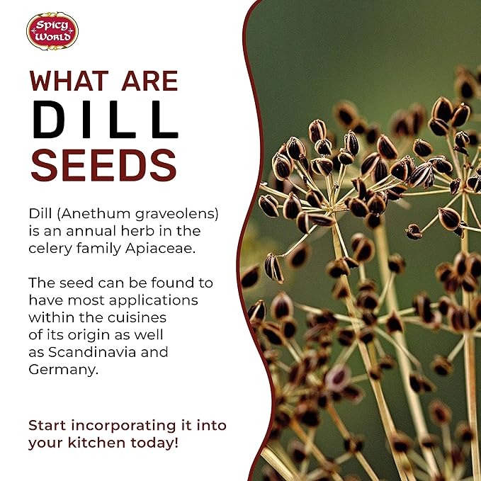 Spicy World Dill Seeds Whole Spice | Perfect for Pickling and Eating | 2 Pound Resealable Bag