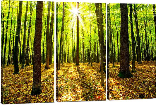 Forest Wall Art Decor - 3 Piece Set, Decorative Framed Green Tree Canvas Art Multi Panel Split Prints for Living Room, Kitchen, Bedroom, Office & Home Decor Gift