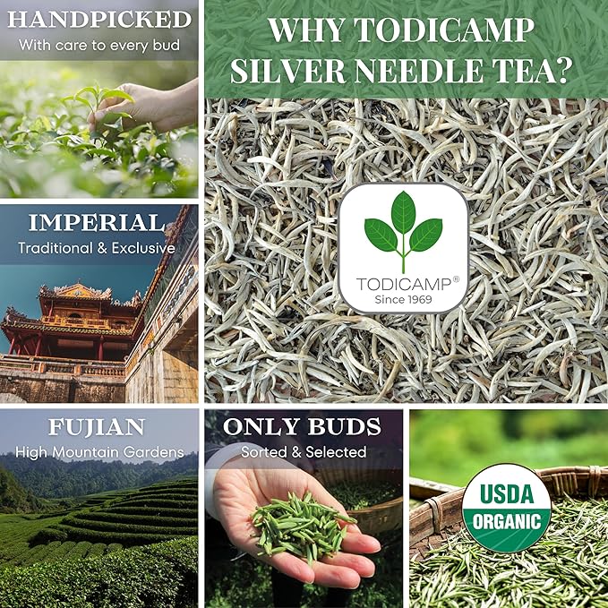 TODICAMP White Tea Organic Silver Needle Tea - 1 lb of Premium Silver Needle White Tea - Rich in Antioxidants Organic White Tea Loose Leaf White Tea Leaves