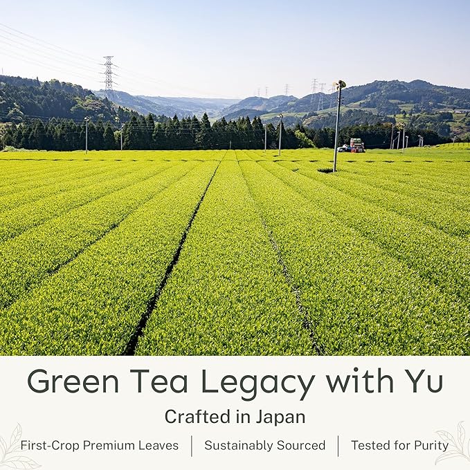 Yu Tea Decaf Organic Sencha Green Tea Powder | Rich in Antioxidants, EGCG, & L-Theanine | Pure Japanese First Harvest Leaf | Caffeine-Free & Unsweetened | Resealable Pouch, 2.65 oz, 100 Servings