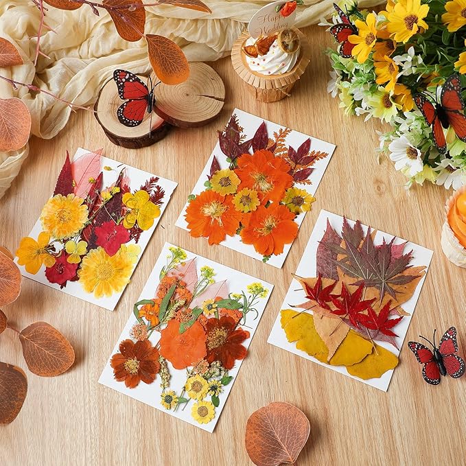 Nuanchu Pressed Flowers Bulk Dried Flower for Crafts, Dried Wildflowers Leave Natural with Tweezer for Resin Mold Scrapbooking Nail Soap Making DIY(Fall Style,Vivid Color)