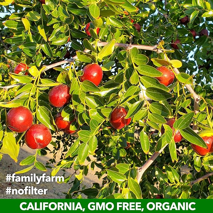 USDA Organic California Grown Pure Jujube Product | JUJUME Crisps | Sweet Jujube Chips | ZERO Added Sugar or Preservatives | All-Natural Healthy Snack | 1-pack 6 oz. bag