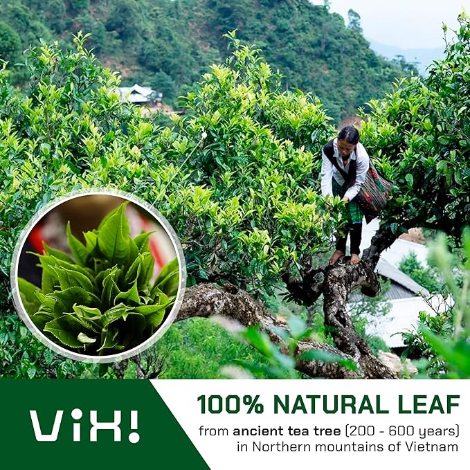 VIXI Black Tea Loose Leaf, (16.00 Oz), Vietnam's Mountain Tea, Bold Flavored, Taste Like Assam, Dried Whole Full Large Leaves, Sugar Free, 100% Natural from Ancient Tea Tree