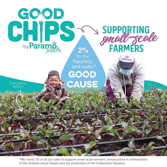 Good Chips Beet & Yacon - Crispy, Baked, No Oil, No Added Salt - Organic, High Fiber, Prebiotic Superfood - Healthy, Vegan Snack - 0.7 oz, Pack of 12