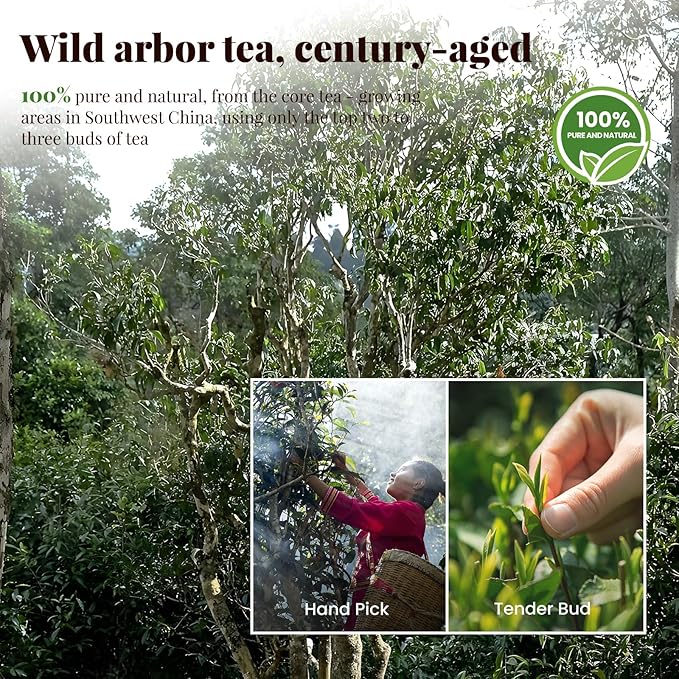 The Spring Tea Premium Grade Ancient Tree Black Tea From Wild 300+ Year Old Tree, Loose Leaf with Individual Pack, Just harvested in Spring 2025, Exquisite, Handpicked, Gift Package, 3.5oz/100g