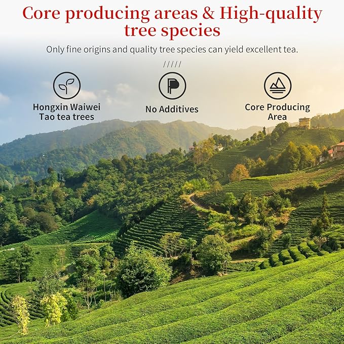 CHADUODUO Tie Guan Yin Oolong Tea Loose Leaf High Mountain Iron Goddess Of Mercy Tea Fujian Anxi Gaoshan Ulong Tea Belong to Pure Hongxin Waiwei Tao Cultivar Orchid Aroma 150g 5.3oz ?¿뚪???若됪ë²?ê³?­†??"<div>