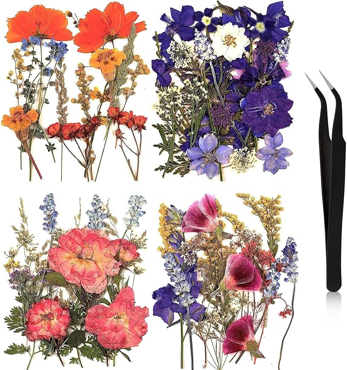 Nuanchu Pressed Flowers Bulk Dried Flower for Crafts, Dried Wildflowers Leave Natural with Tweezer for Resin Mold Scrapbooking Nail Soap Making DIY(Gorgeous Style,Multi Color)