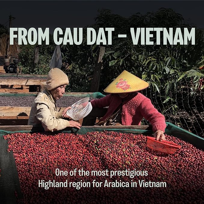 BAZAN COFFEE Vietnamese Specialty Arabica - Medium Roast, Organic Whole Bean Coffee with Rich Notes of Caramel & Warm Spice, Low Acidity, Fresh Roasted, 12 oz Bag