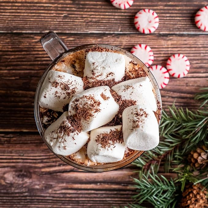 Bare Life: Instant Dairy Free Peppermint Hot Cocoa Mix - 10 Serving Pouch | Gluten Free, Vegan, Organic, Plant Based, Paleo, Soy Free, Corn Free, Lactose Free, Refined Sugar Free, Hot Chocolate, 9.52 oz.