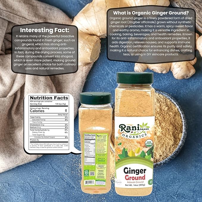 Rani Organic Ginger (Adarak) Powder Ground, Spice 14oz (400g) PET Jar ~ All Natural | Vegan | Gluten Friendly | NON-GMO | Indian Origin | USDA Certified Organic