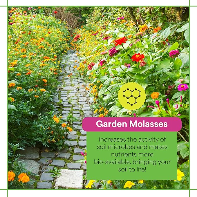 Grow More Garden Molasses for Plants with Yucca Extract - 1 Quart of USA-Made Horticultural Molasses to Boost Growth - Acts as a Soil Conditioner & Source of Essential Plant Nutrients