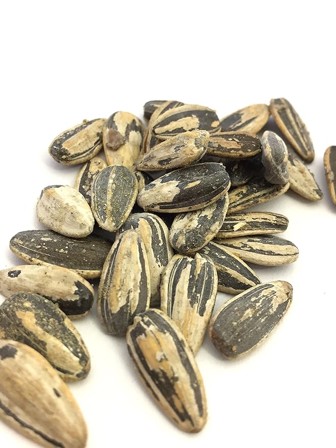 Bricktown Goods Dill Pickle Flavored Sunflower Seeds - Boldly Seasoned and Roasted In-Shell Sunflower Seeds - 8 oz Total