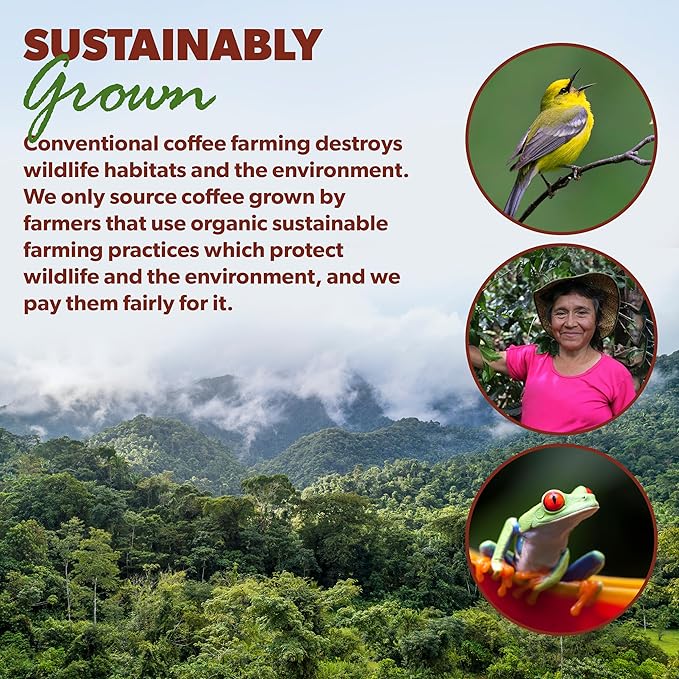 Low Acid Organic Coffee ??Whole Bean, Mold-Free & Stomach Friendly by Java Planet, Costa Rican Single Origin Coffee, Dark Roast, Smooth Full Flavored, 2x1LB Bag