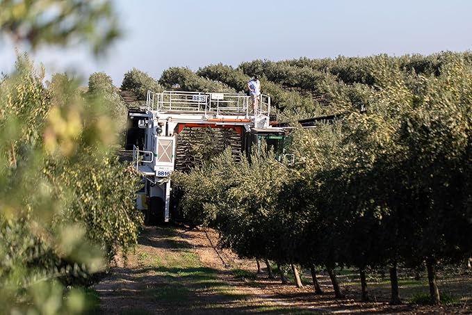 Cobram Estate California Select Extra Virgin Olive Oil, First Cold Pressed, Non-GMO, Keto Friendly, High in Antioxidants, Rich & Complex, 375ml Bottle