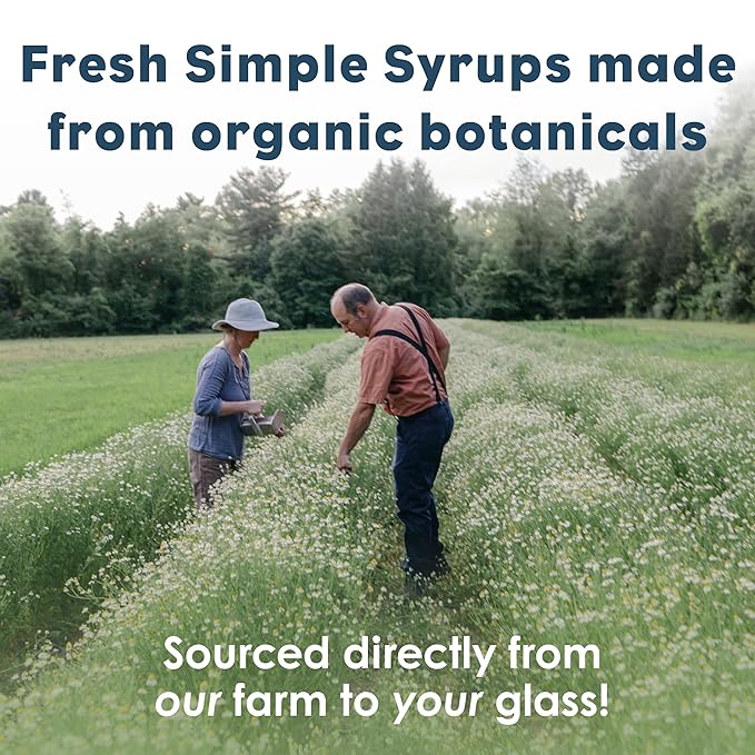 Bluestem Botanicals Organic Wild Tonic Simple Syrup, 8 oz, Cocktail and Mocktail Mixer for Drinks, Non-Alcoholic