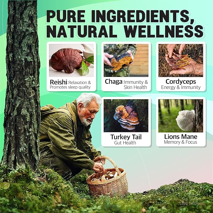 Mushroom Coffee (48 Servings) – 5 Adaptogenic Mushrooms: Lion's Mane, Chaga, Cordyceps, Reishi, Turkey Tail – Boost Energy, Focus & Immunity – 500 mg Mushrooms/Serving
