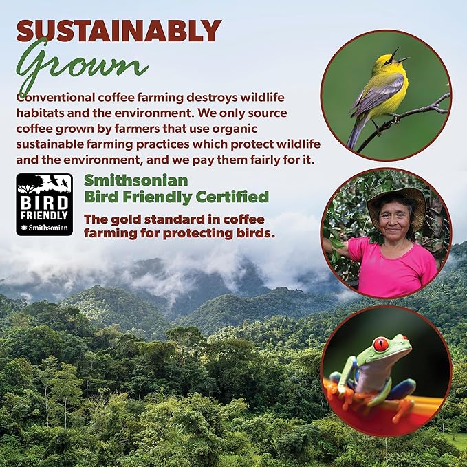 Low Acid Organic Coffee ??Whole Bean, Mold-Free & Stomach Friendly by Java Planet, Guatemalan Single Origin Coffee, Medium Roast, Smooth Full Flavored, 5LB Bag