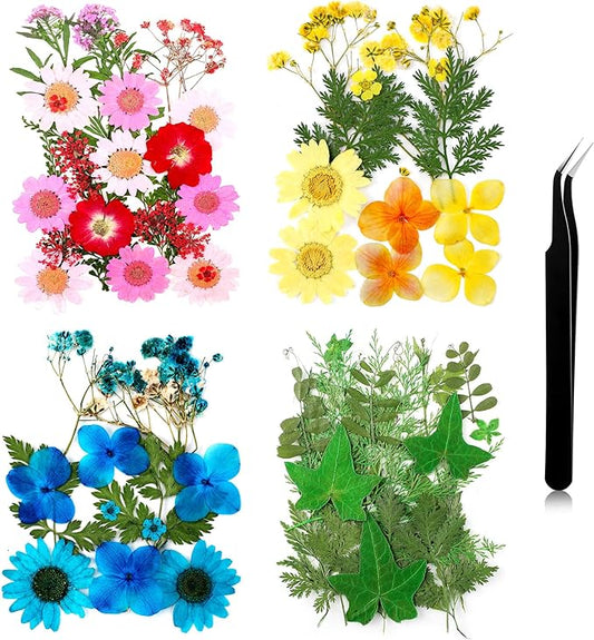 Nuanchu Pressed Flowers Bulk Dried Flower for Crafts, Dried Wildflowers Leave Natural with Tweezer for Resin Mold Scrapbooking Nail Soap Making DIY(Colorful Style,Mixing Color)