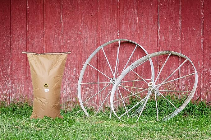 Amish Country Popcorn | 50 lbs Bag | Medium White Popcorn Kernels | Old Fashioned, Non-GMO and Gluten Free (Medium White - 50 lbs Bag)